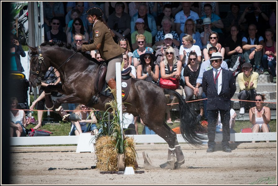 Pferd International 107